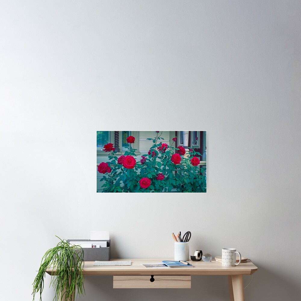 Item preview, Poster designed and sold by sjphotocomau.