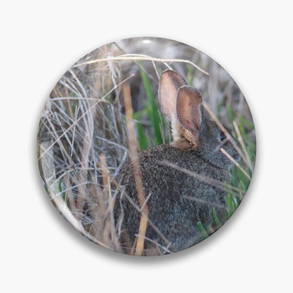 Item preview, Cottontail Bunny in Brush designed and sold by Jessica Weiss.