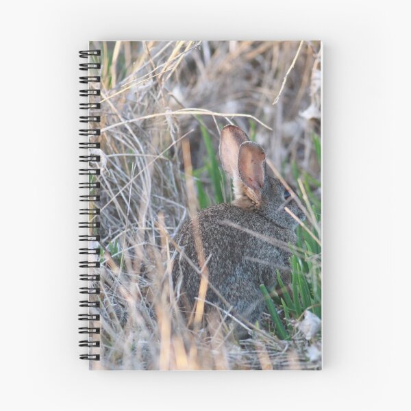 Item preview, Cottontail Bunny in Brush designed and sold by Jessica Weiss.