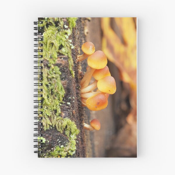Item preview, Very young sulphur tuft mushrooms designed and sold by SDym Photography.