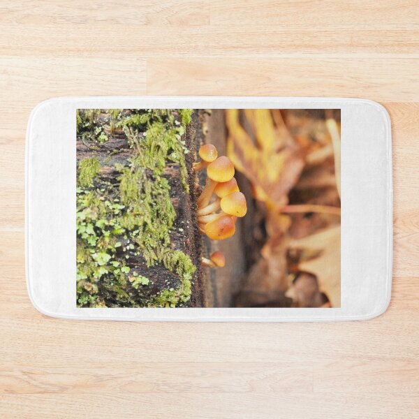 Item preview, Very young sulphur tuft mushrooms designed and sold by SDym Photography.