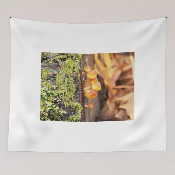 Item preview, Very young sulphur tuft mushrooms designed and sold by SDym Photography.