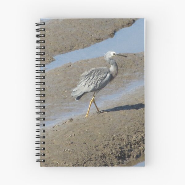 Item preview, White-Faced Heron designed and sold by pierredubrelle.
