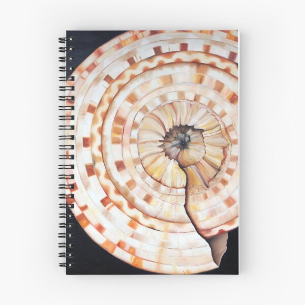 Item preview, Sundial Shell designed and sold by LindaZArtist.