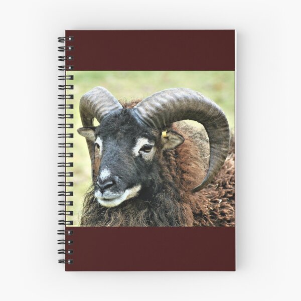 Item preview, Big Daddy the Soay RAM designed and sold by Oppos  Community Farm.