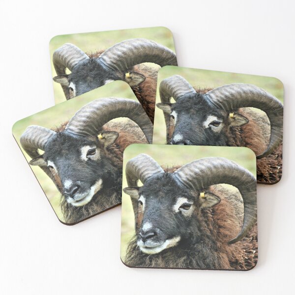 Item preview, Big Daddy the Soay RAM designed and sold by Oppos  Community Farm.