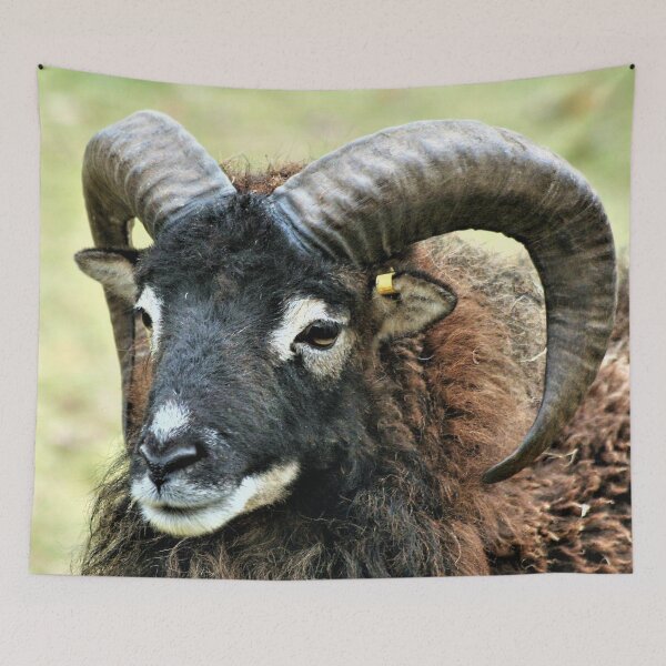 Item preview, Big Daddy the Soay RAM designed and sold by Oppos  Community Farm.