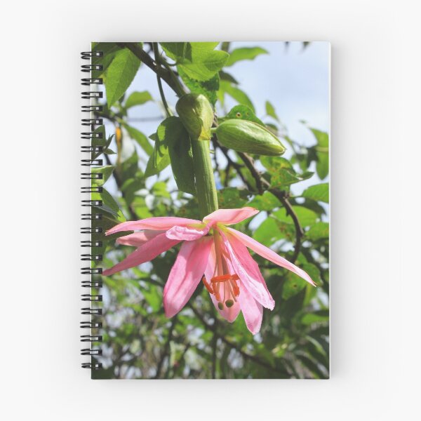 Aperçu de l'œuvre Fleur de fruit de Taxo créée et vendue par rhamm.