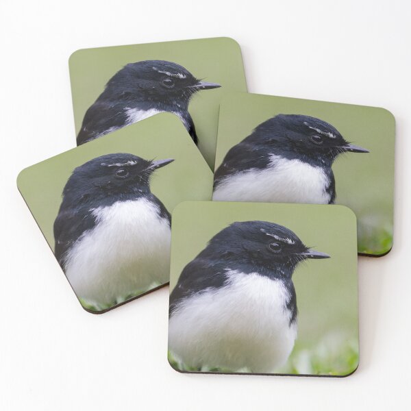 Item preview, Willie Wagtail (Rhipidura leucophrys) designed and sold by Trent Townsend.