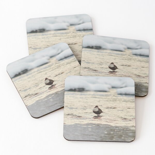 Item preview, White-throated dipper in the midlle of the stream designed and sold by Jouko Lehto Photography.