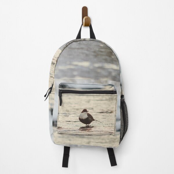 Item preview, White-throated dipper in the midlle of the stream designed and sold by Jouko Lehto Photography.