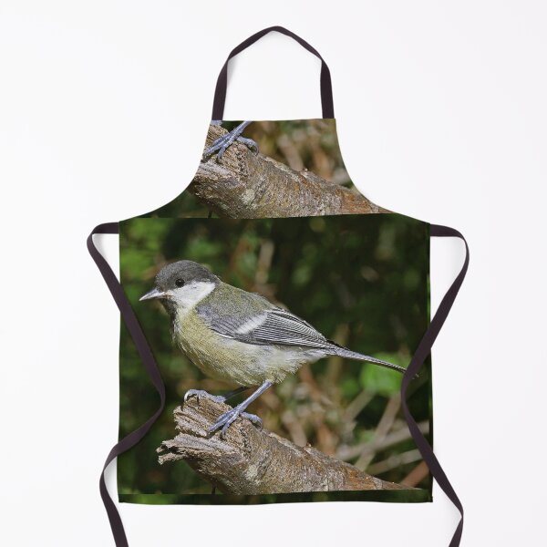 Item preview, r1487/ New Finition - 2021 - mésange b 35 (c)(t) Olavia-Olao Okaio Créations designed and sold by o.okaïo.