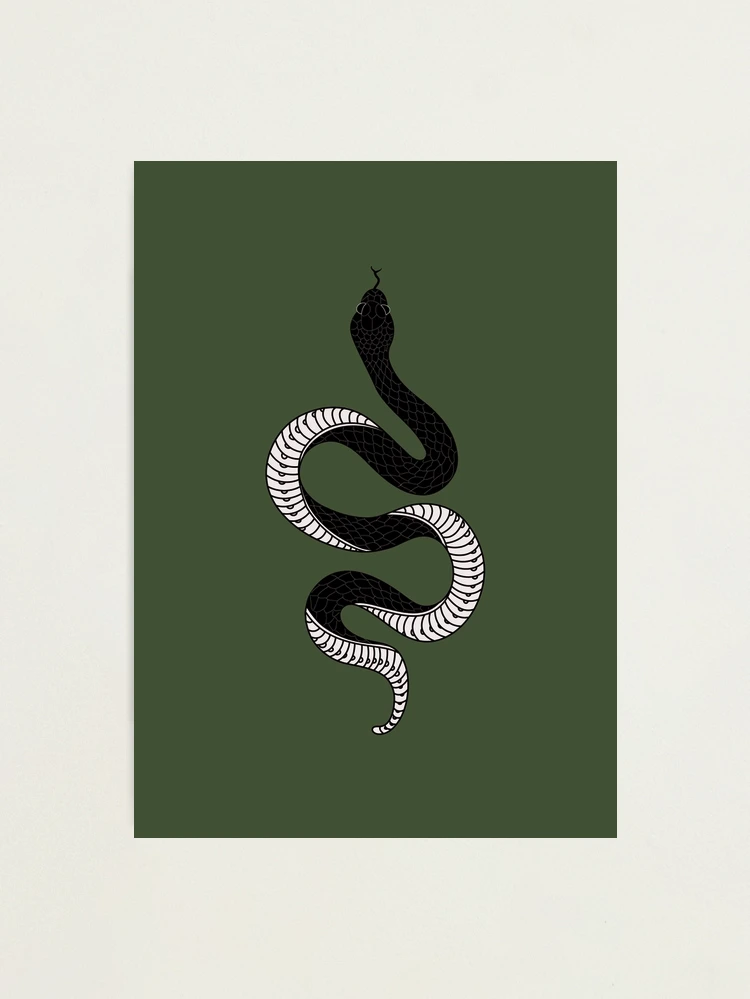 White Boa Constrictor Snake Pattern Art Print by save-sarah