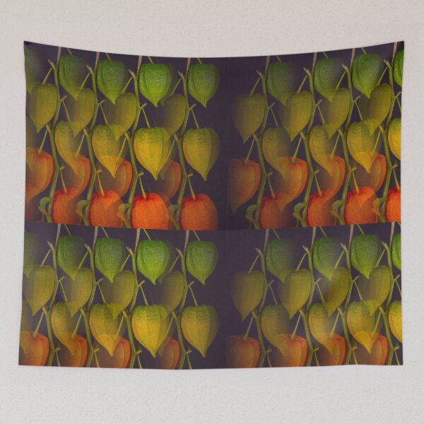 Item preview, Physalis or balloon flower designed and sold by Ingo Gerlach.