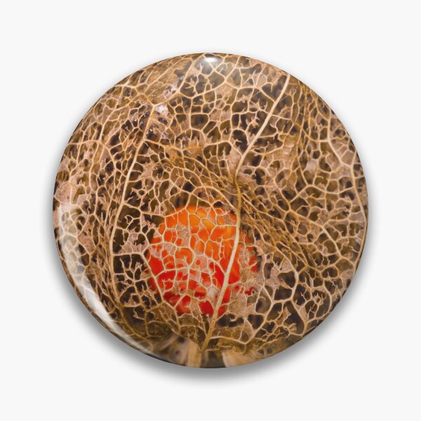 Item preview, Physalis or balloon flower, designed and sold by Ingo Gerlach.
