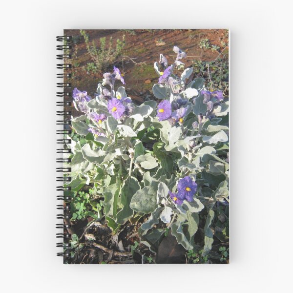 Item preview, Wild Tomato (Flannel Bush) Flowers designed and sold by Elizabeth Sheppard.