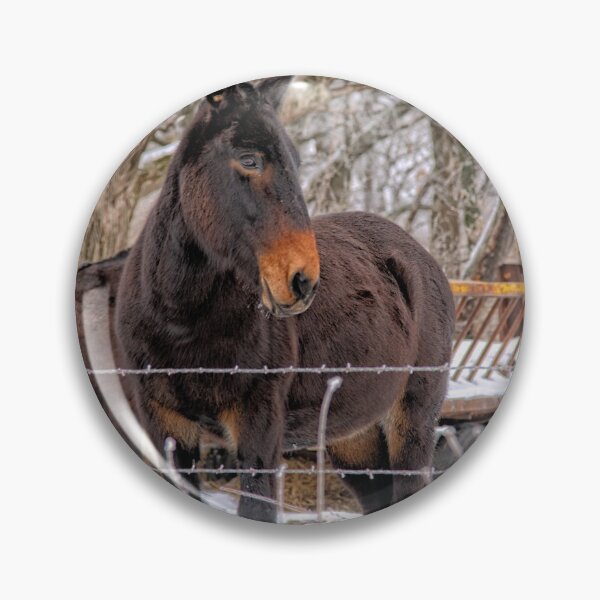 Item preview, The Feed Bunk II designed and sold by LynyrdSky.