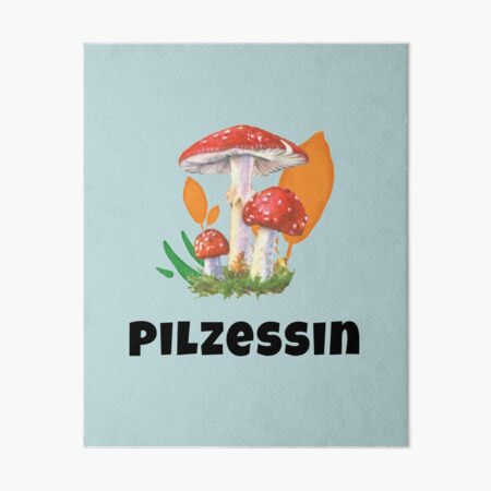 Pilzsammler Werkzeug Mit Teleskop - Praktischer Helfer Für Pilzsuche