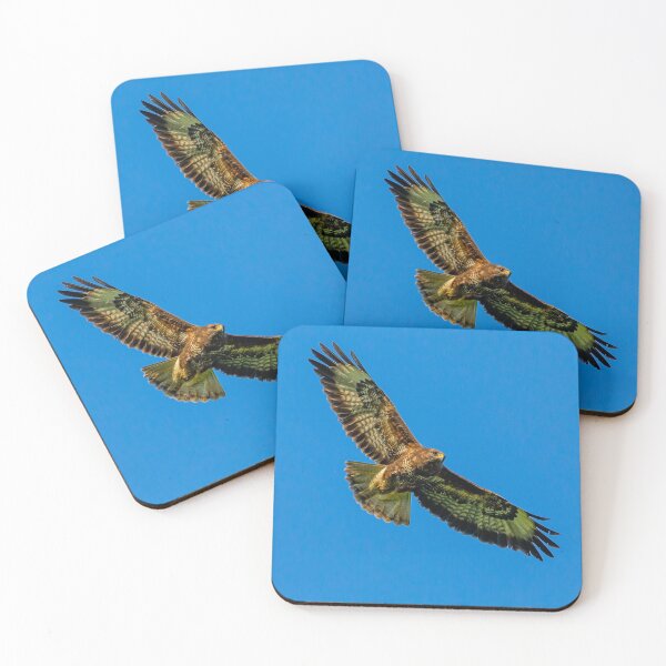 Item preview, Soaring high Buzzard designed and sold by Dalyndigital Photography.
