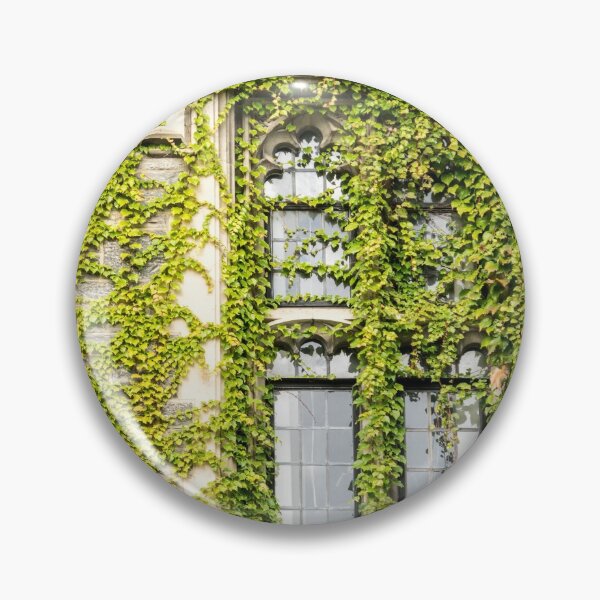 Item preview, Of Windows and Leaves - Ivy Covered designed and sold by Georgia Mizuleva.