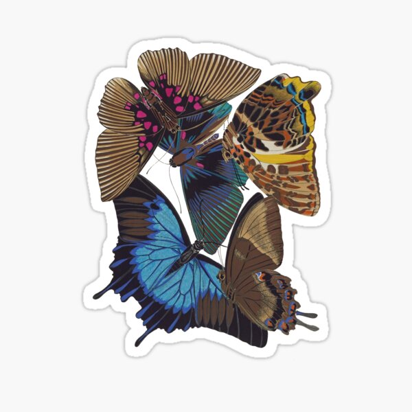 FF - Buttefly-1 Sticker