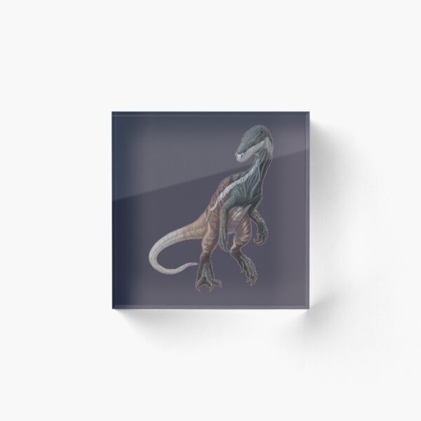 Item preview, Eodromaeus murphi designed and sold by CoffeeBlack Illustration.