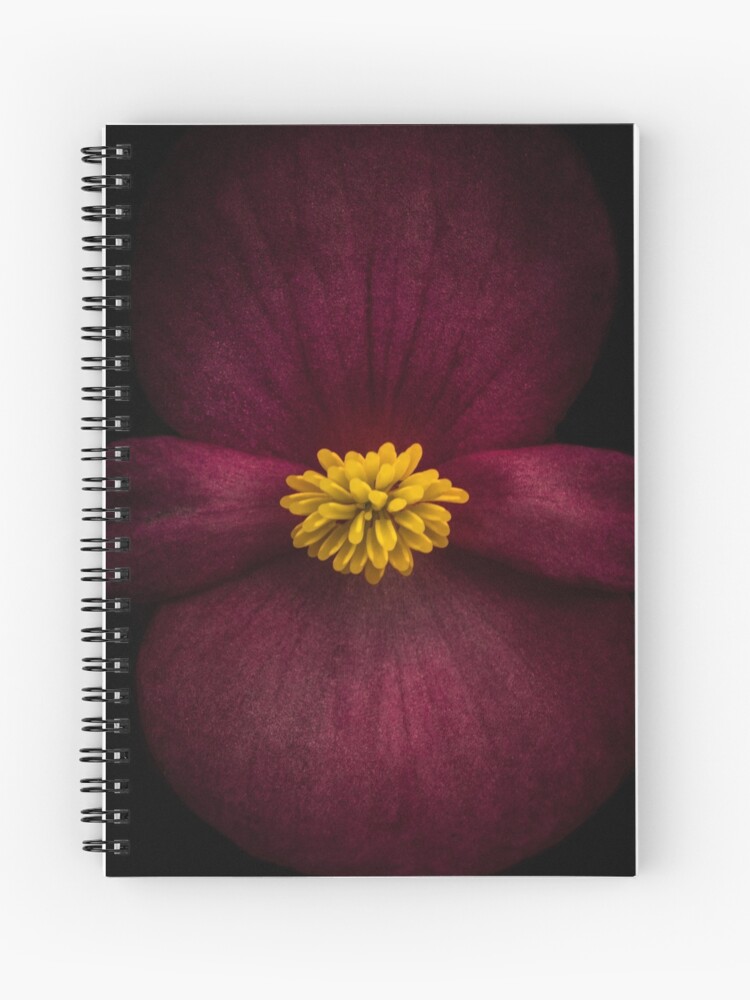 Cuaderno de espiral «Begonia Macro» de alanshapiro | Redbubble