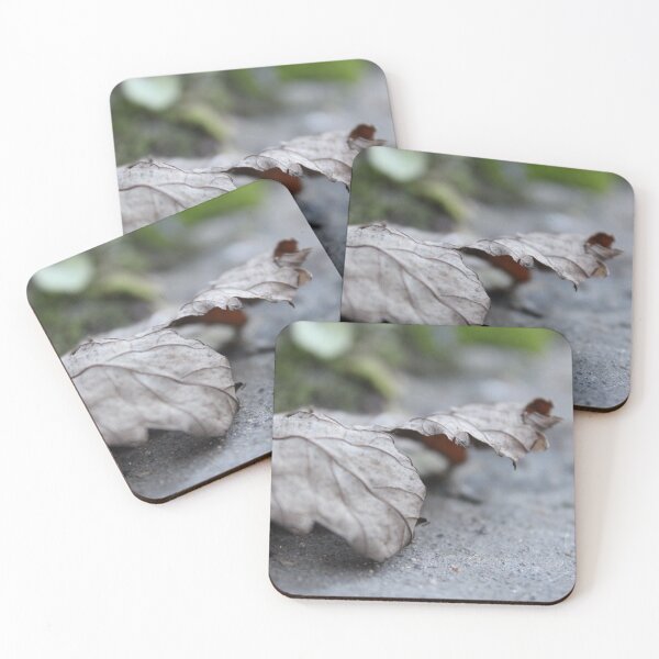 Item preview, Dried Leaf Edge designed and sold by Miriam Pancheva.