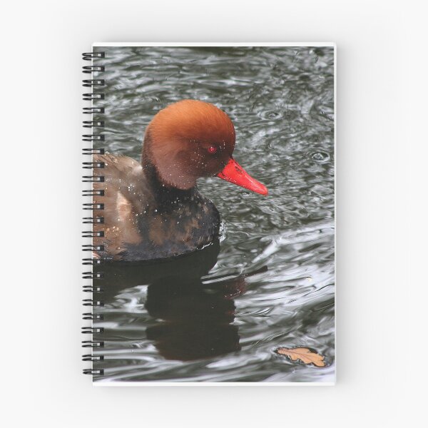 Item preview, Redhead duck designed and sold by leephotoofyork.