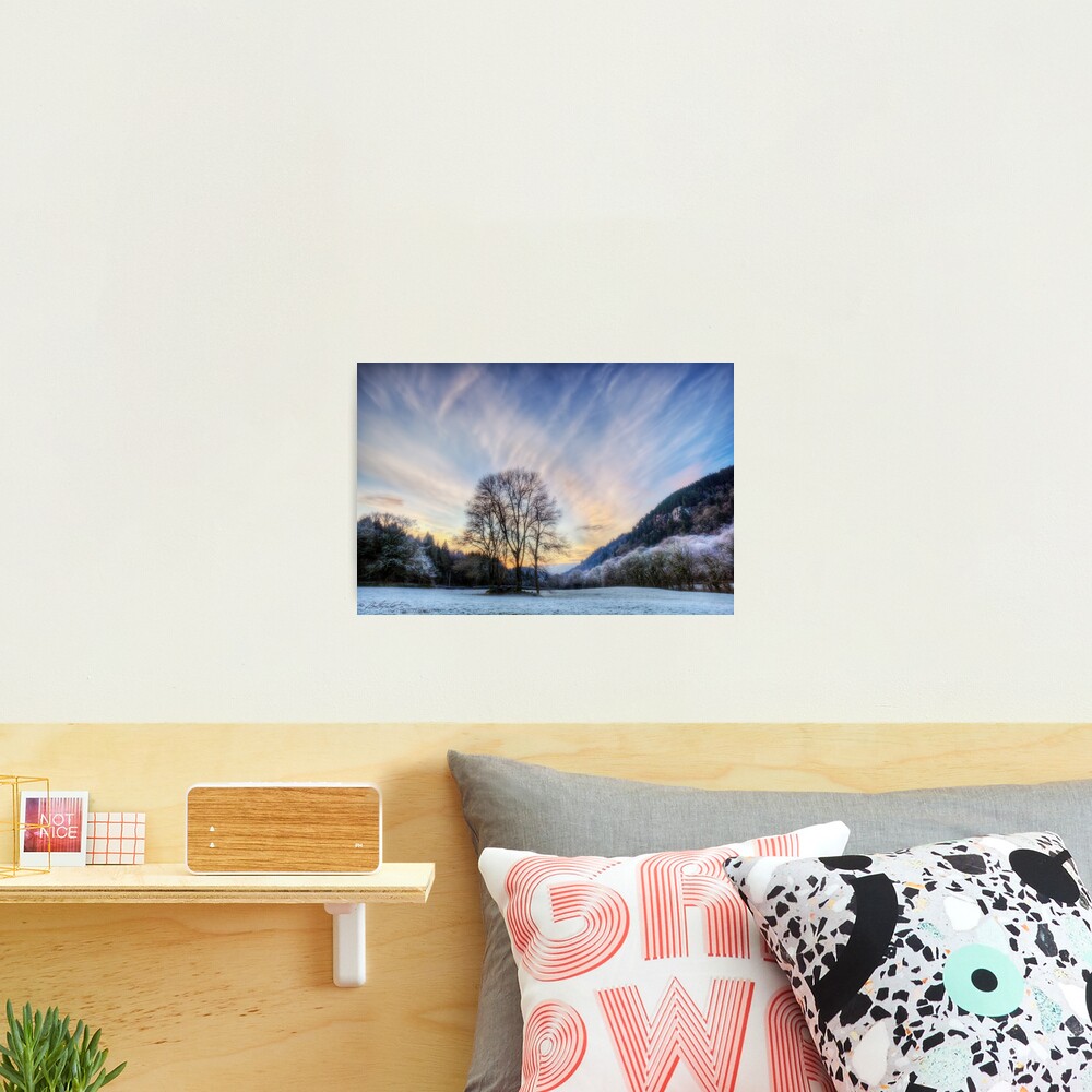 Winter frost Photographic Print