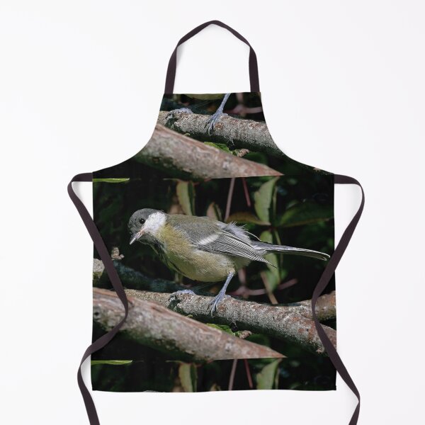 Item preview, r1486/ New Finition - 2021 - mésange b 34 (c)(t) Olavia-Olao Okaio Créations designed and sold by o.okaïo.