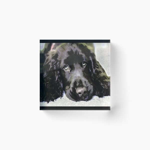 Item preview, Sprocker spaniel sleeping  designed and sold by dreamofdenim.