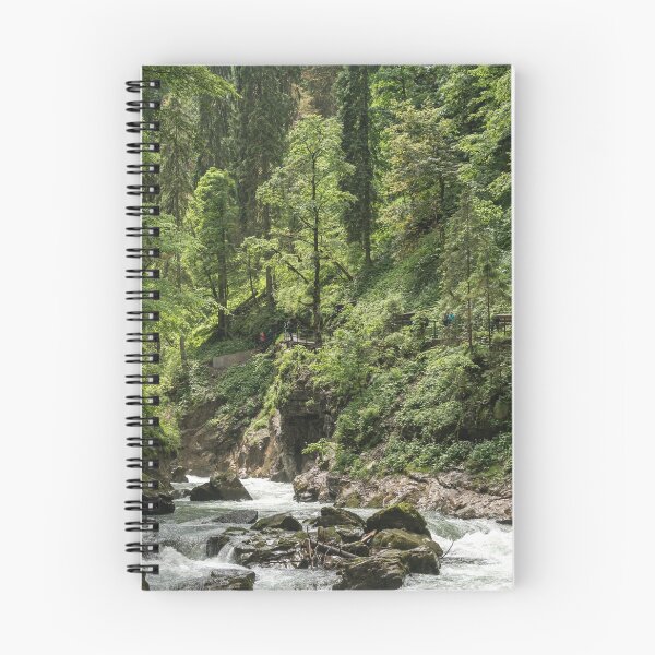 Item preview, Breitachklamm in the Allgäu designed and sold by reisefoto.