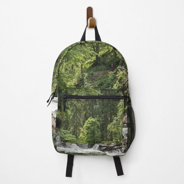 Item preview, Breitachklamm in the Allgäu designed and sold by reisefoto.