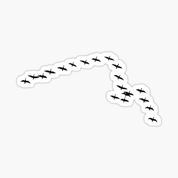 Aperçu de l'œuvre Oies sauvages nuée d'oiseaux ornithologie Blanc créée et vendue par 7T-Designs.