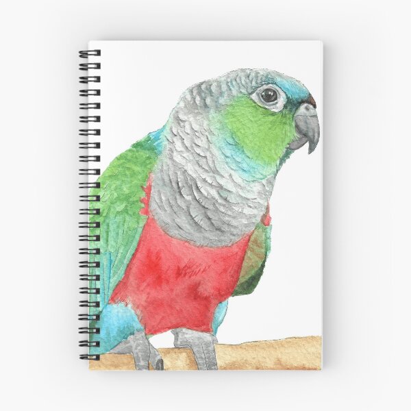 Item preview, Crimson-bellied parakeet watercolor - conure painting bird portrait designed and sold by L'Atelier Oranjade.