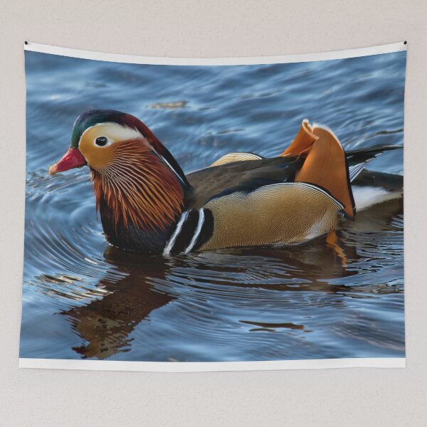 Item preview, Mandarin Duck reflected in clear blue water designed and sold by Violaman.