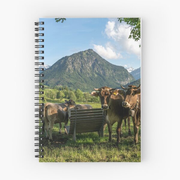 Item preview, Cows on an alpine pasture near Oberstdorf designed and sold by reisefoto.