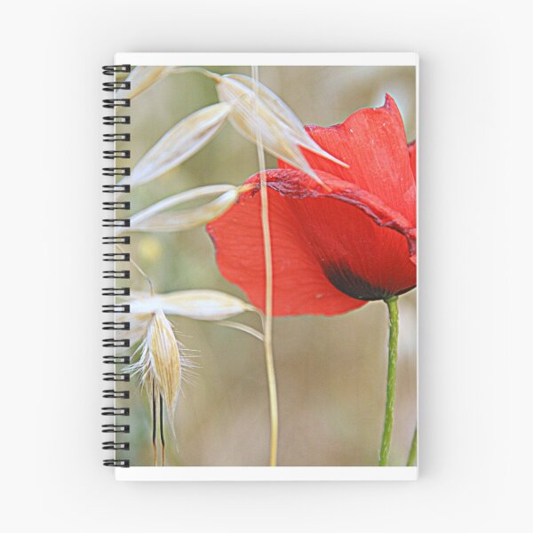 Item preview, Carol designed and sold by gluca.