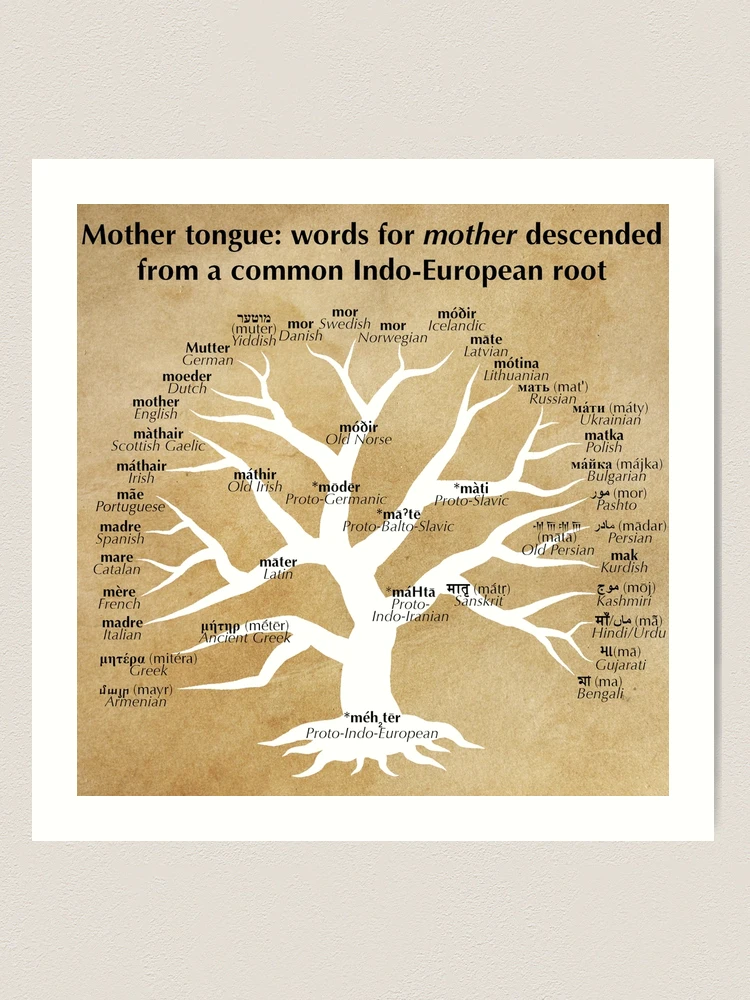 Mother tongue v/s English: A mid-way 