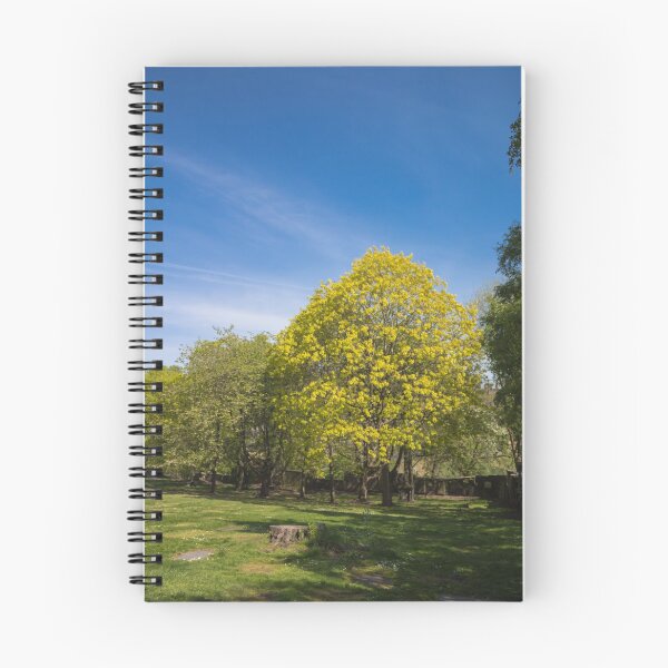 Item preview, Sunny Day in Glasgow East End designed and sold by HJoPhotography.