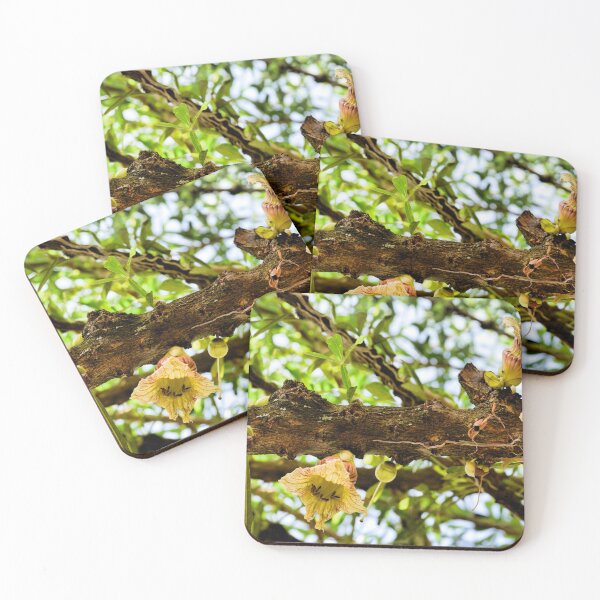 Item preview, Blooming Branch designed and sold by Millerstef.