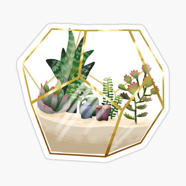 Terrarium mit Sukkulenten Sticker
