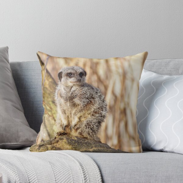 Item preview, Cute sitting meerkat designed and sold by cdkphotos.