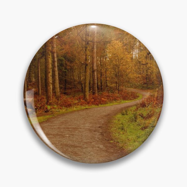 Artikelvorschau, Delamere Woodland Path entworfen und verkauft von Paul Madden.