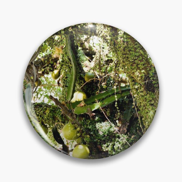 Item preview, Calabash Jungle designed and sold by Millerstef.