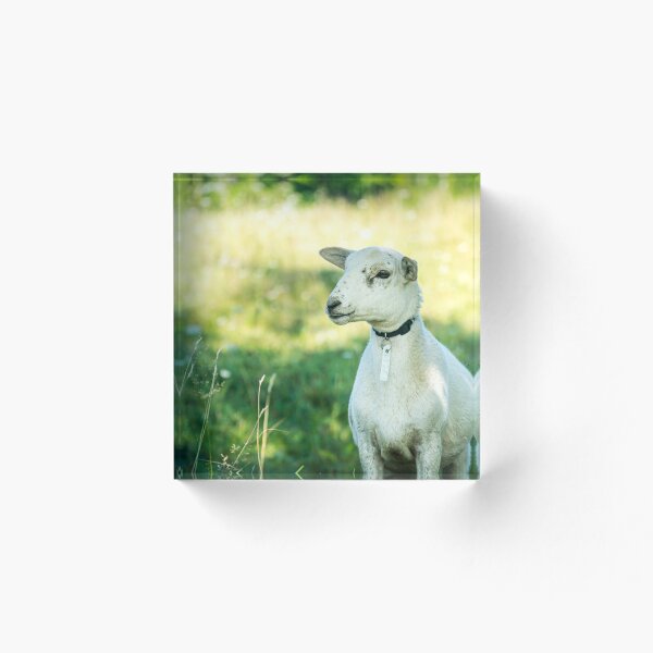 Item preview, Lamb I Am designed and sold by Kevin Schramm.