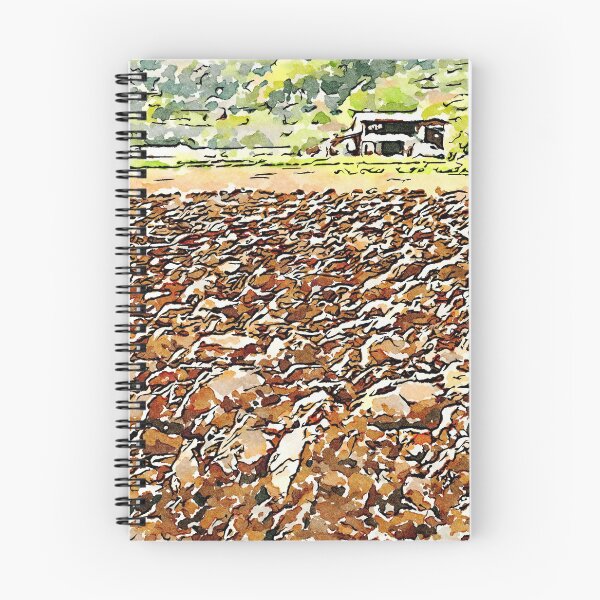 Item preview, Hortus Conclusus: clods of earth and farmhouse designed and sold by Giuseppe Cocco.