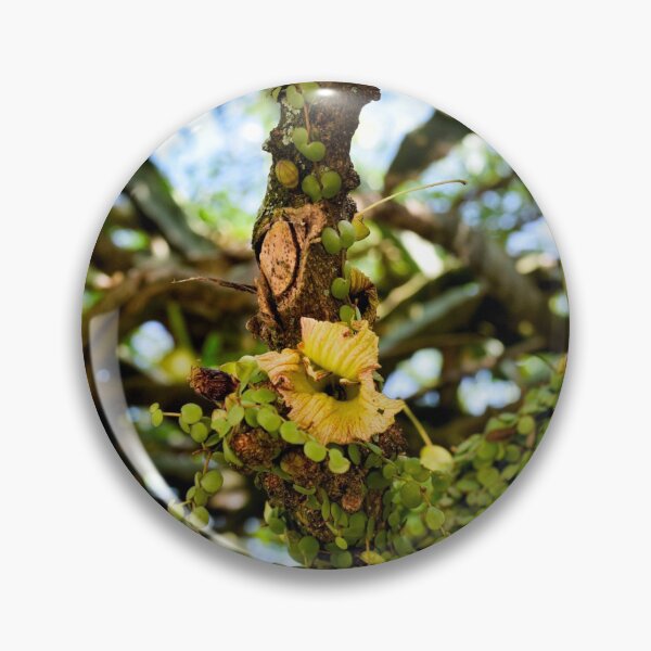 Item preview, Calabash Bloom designed and sold by Millerstef.