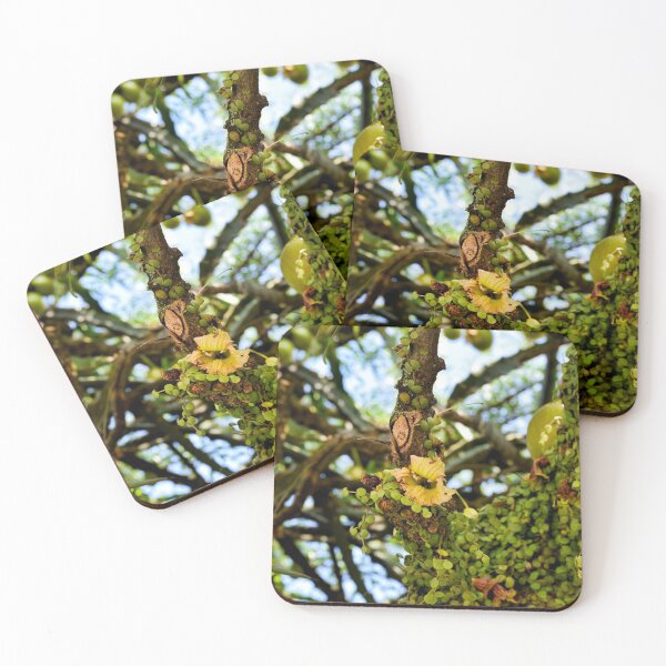Item preview, Calabash Bloom designed and sold by Millerstef.